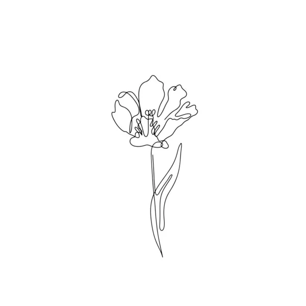 チューリップを描く1行。手描き一本花 — ストックベクタ