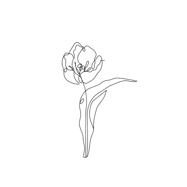 En linje ritar tulpan. Handritad enda linje blomma — Stock vektor