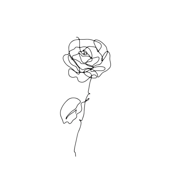 Una sola línea rosa flor dibujo. — Vector de stock