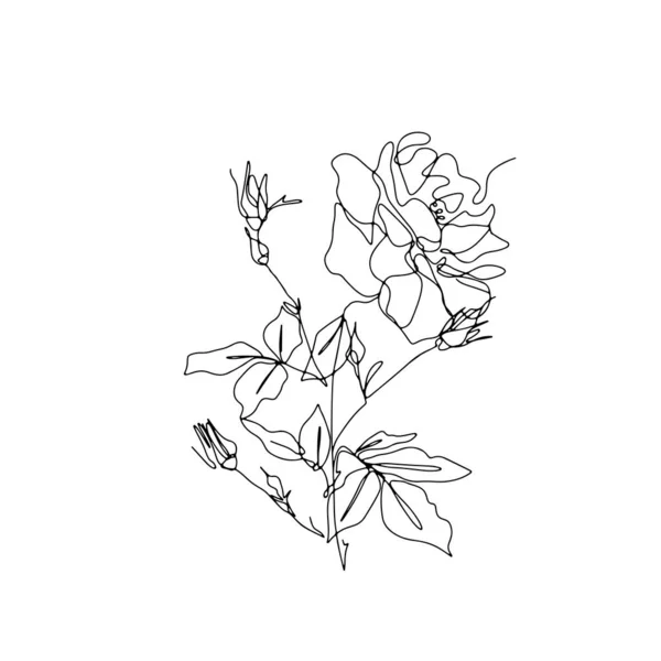 En enda linje ros blomma ritning. — Stock vektor