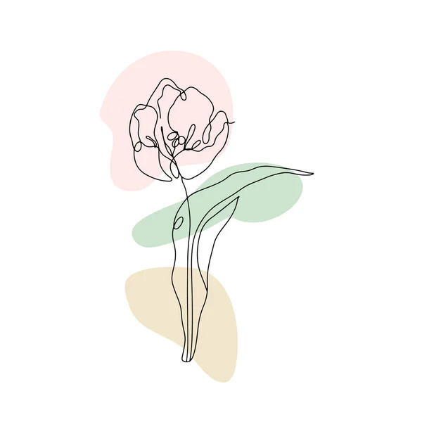 Uma linha a desenhar tulipa. Mão desenhada flor única linha com formas abstratas neutras — Vetor de Stock