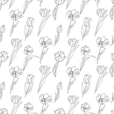 Tek renkli, pürüzsüz desen, tek çizgili lale çiçekleri çizimleri.