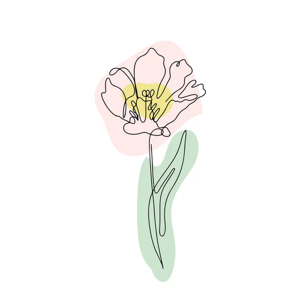 Egy vonal tulipánt rajzol. Kézzel rajzolt egyvonalas virág semleges absztrakt formákkal — Stock Vector