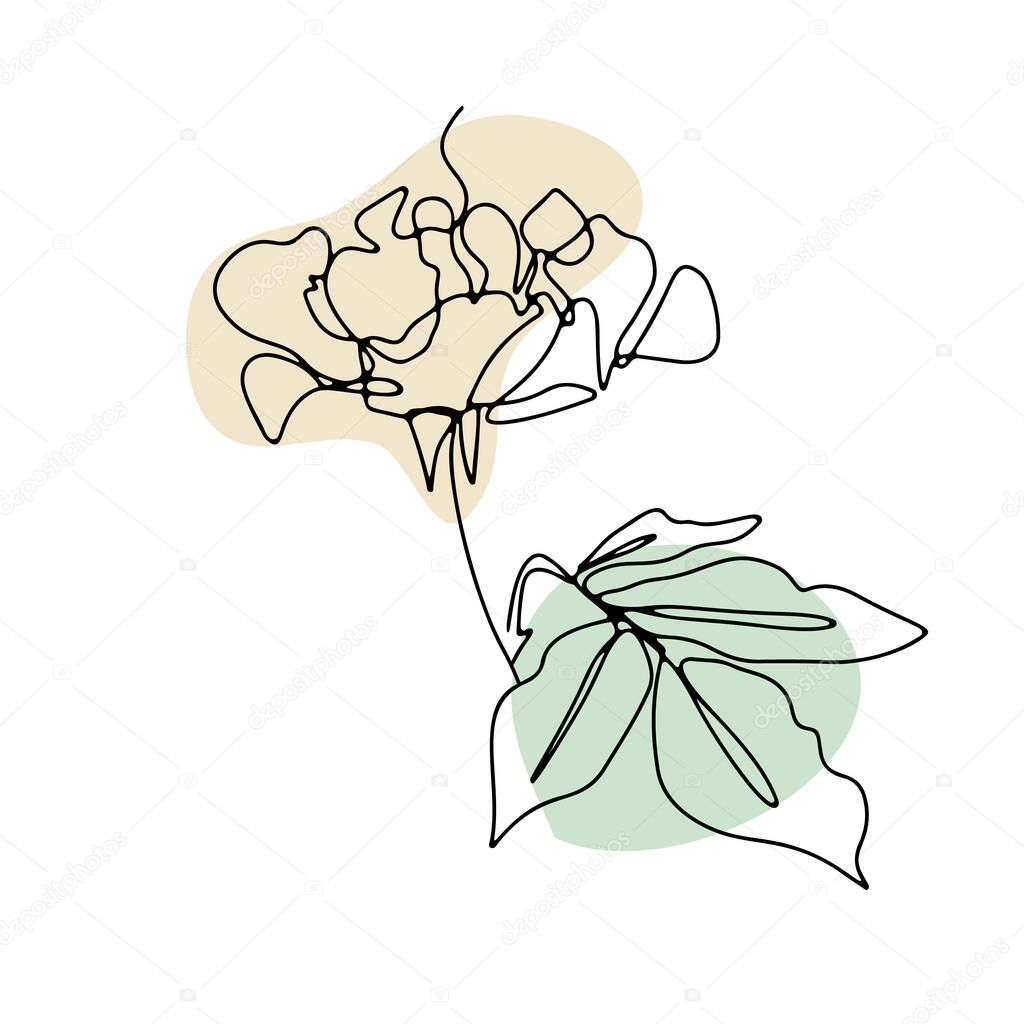 One line drawing rose. Hand drawn single line flower with neutral abstract shapes background