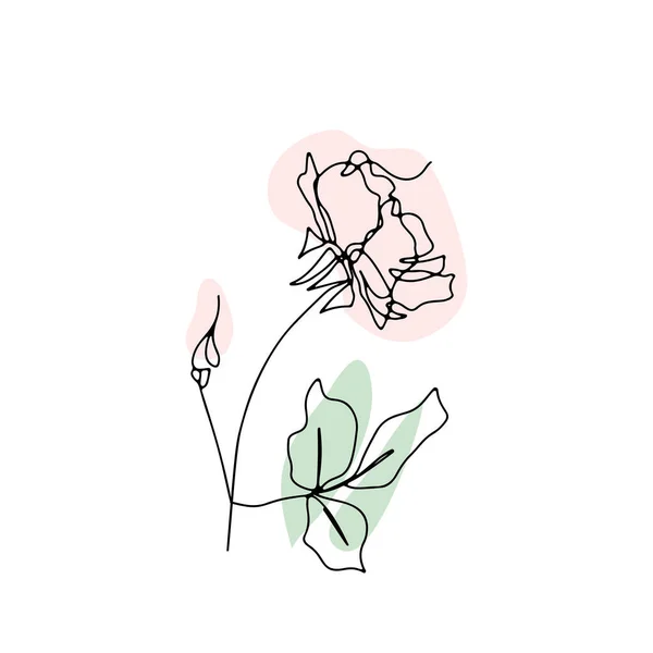 Eine Linienzeichnung stieg auf. Handgezeichnete einzeilige Blume mit neutralen abstrakten Formen — Stockvektor