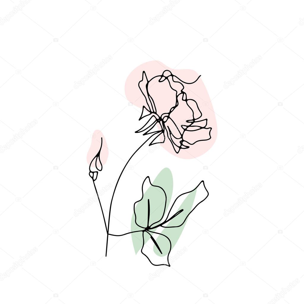 One line drawing rose. Hand drawn single line flower with neutral abstract shapes background