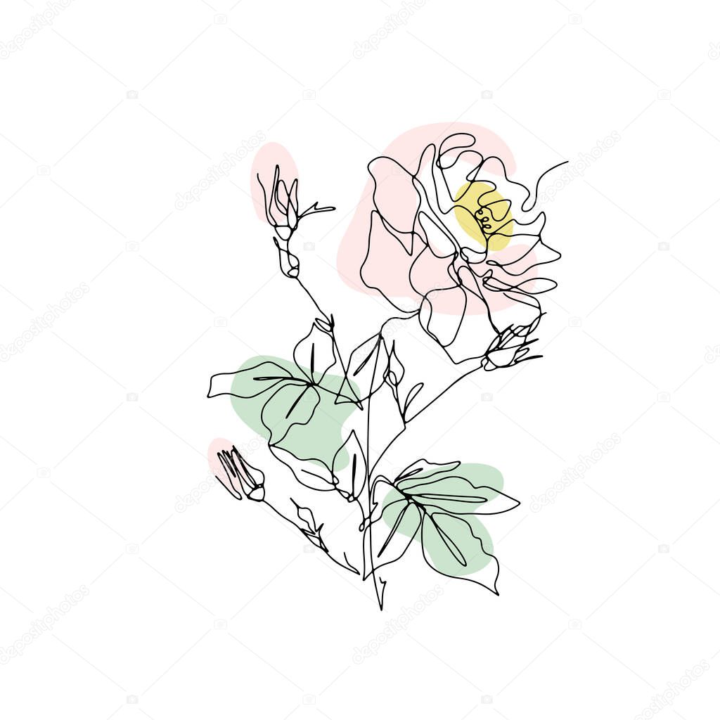 One line drawing rose. Hand drawn single line flower with neutral abstract shapes background