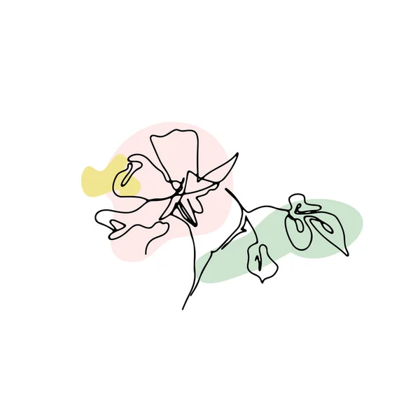 Egy vonalrajz rózsa. Kézzel rajzolt egyvonalas virág semleges absztrakt formákkal — Stock Vector