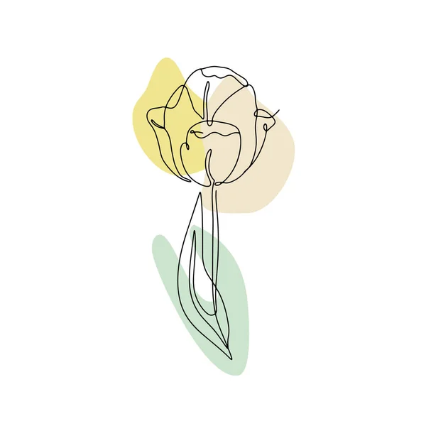 Una linea che disegna il tulipano. Fiore a linea singola disegnato a mano con forme astratte neutre — Vettoriale Stock