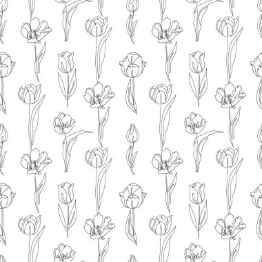 Tek renkli, pürüzsüz desen, tek çizgili lale çiçekleri çizimleri.