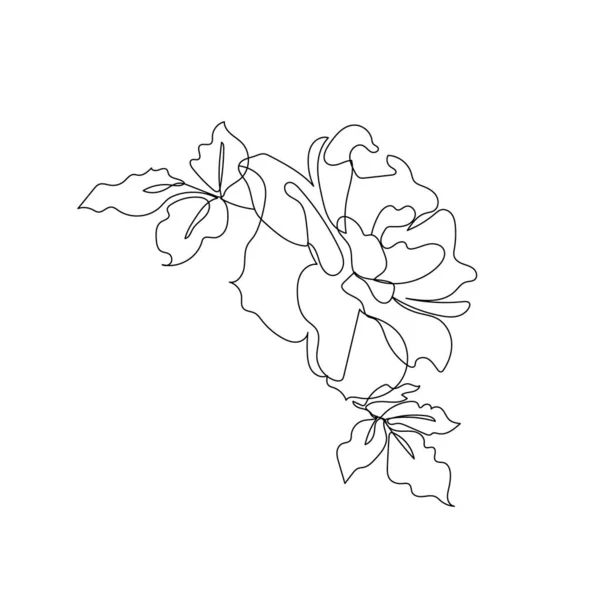 Uma única linha de desenho de flor de rosa. — Vetor de Stock