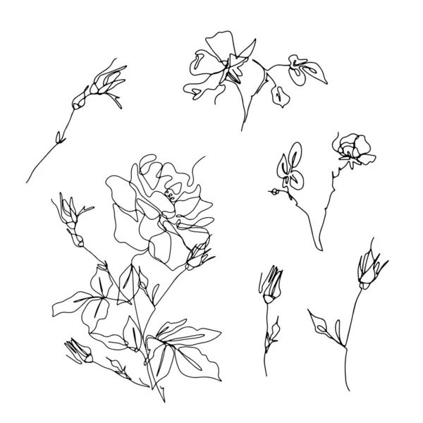 Ensemble d'une seule ligne de dessins de fleurs roses — Image vectorielle