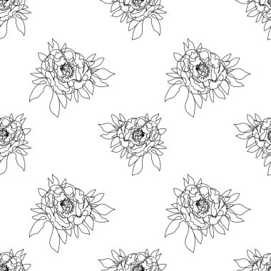 Tek çizgili şakayık çiçekleri olan kusursuz bir desen.