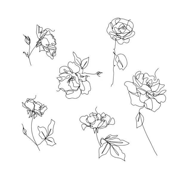 Conjunto de dibujos de flor rosa de una sola línea — Vector de stock