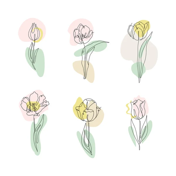 Ensemble de tulipes de dessin d'une ligne. Fleurs à une ligne dessinées à la main avec des formes abstraites neutres — Image vectorielle