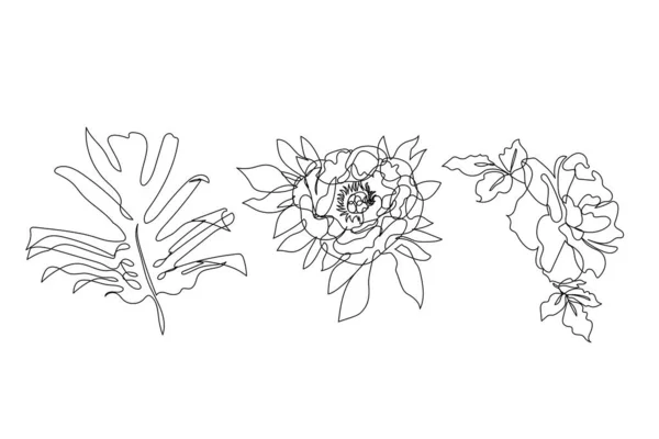 Одна Линия Рисует Розы Пионы Листья Чудовища Абстрактное Ботаническое Искусство — стоковый вектор