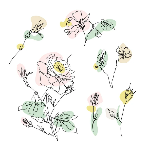 Conjunto Una Línea Dibujo Rosas Clip Art Flor Una Sola — Archivo Imágenes Vectoriales