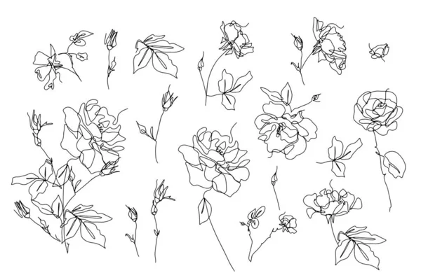 Набір Однієї Єдиної Лінії Троянди Квітів Малюнків Чорна Чорнильна Лінія — стоковий вектор