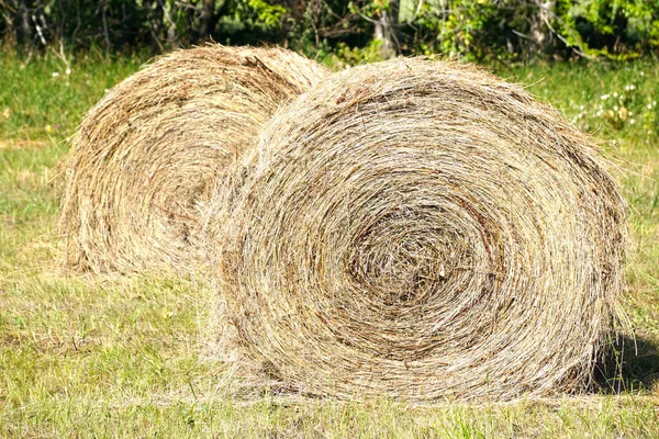 Balle Fieno Sul Campo Estivo Una Fotografia Pittoresca Falciato Fieno — Foto Stock