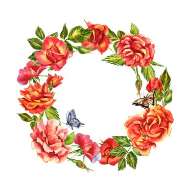 Güller hazır. Narin pembe bir gülün suluboya çizimi. Botanik illüstrasyon