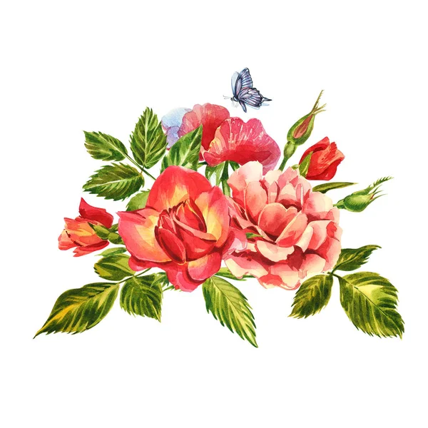 Rose pronte. Illustrazione ad acquerello di una delicata rosa rosa. Illustrazione botanica — Foto Stock