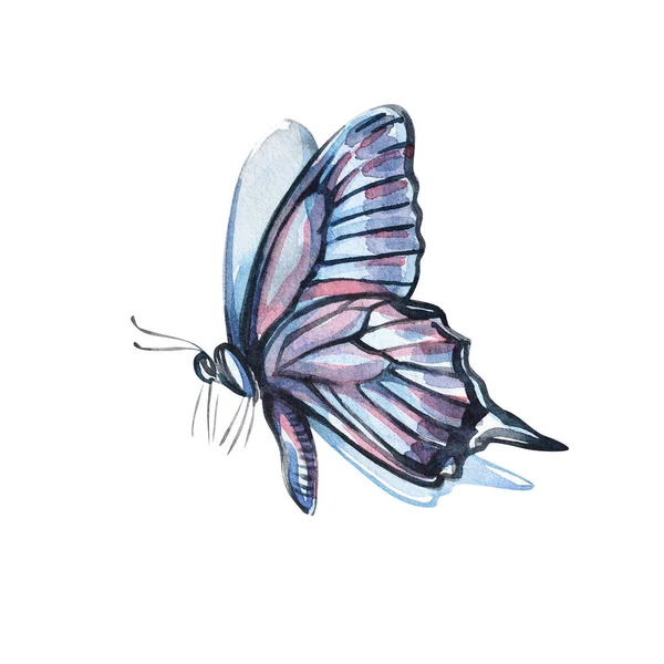 Aquarelle papillon coloré, isolé sur fond blanc. Bleu, jaune papillon printemps illustration. — Photo