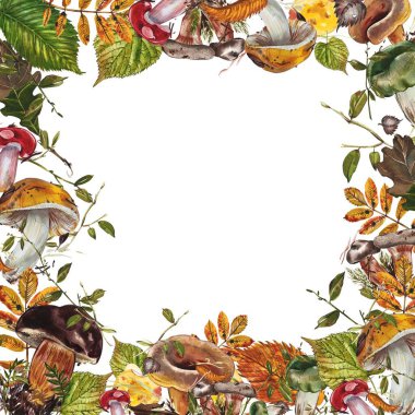 Mantarlar. Chanterelle, Black and King Trompet, istiridye mantarları ve Niscalo, Portobello beyaz arka planda izole edilmiştir. Eski model. Suluboya çizimi