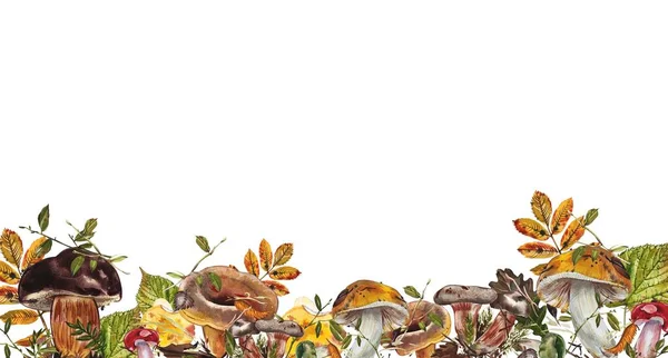 Setas. Chanterelle, Black and King Trumpet, Oyster mushrooms y Niscalo, Portobello aislado sobre fondo blanco. Vintage. Ilustración en acuarela — Foto de Stock