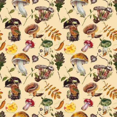 Mantarlar. Chanterelle, Black and King Trompet, istiridye mantarları ve Niscalo, Portobello beyaz arka planda izole edilmiştir. Eski model. Suluboya çizimi