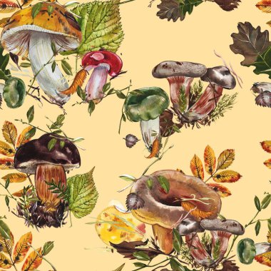 Mantarlar. Chanterelle, Black and King Trompet, istiridye mantarları ve Niscalo, Portobello beyaz arka planda izole edilmiştir. Eski model. Suluboya çizimi