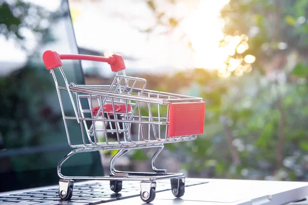 Online Winkelen Winkelwagen Trolley Een Laptop Toetsenbord Shopping Service Het — Stockfoto