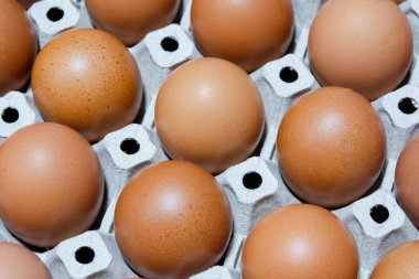 Yumurta tavuk çiftliği Satılık korunmuş paket