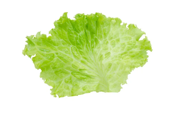 Salat Salatblatt Isoliert Auf Weißem Hintergrund Mit Clipping Pat — Stockfoto