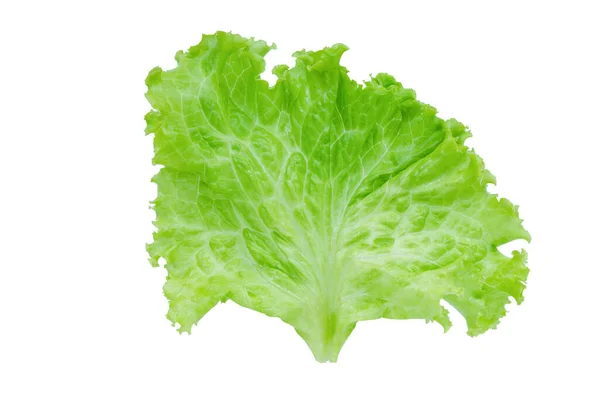 Lettuce Salad Leaf Isolated White Background Clipping Pat — Stock Photo, Image