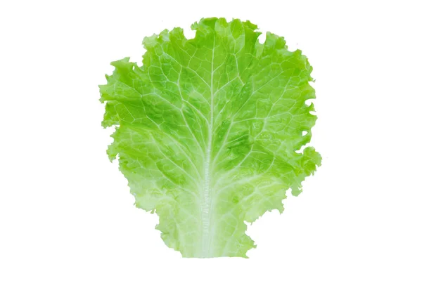 Lettuce Salad Leaf Isolated White Background Clipping Pat — Stock Photo, Image