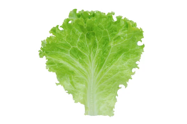 Sla Maar Saladeblad Geïsoleerd Witte Achtergrond Met Clipping Pat — Stockfoto