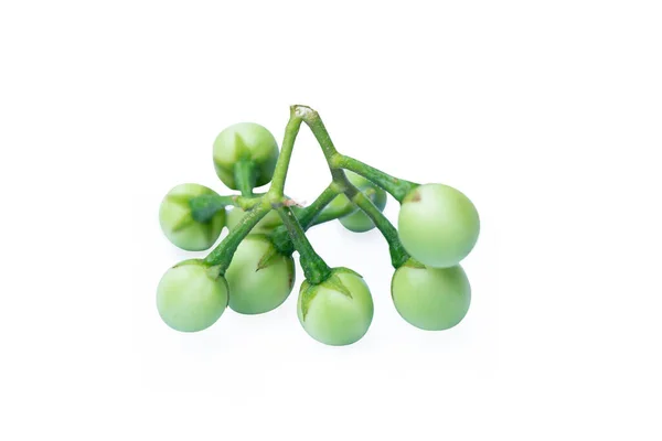 Μπιζέλια Μούρα Γαλοπούλας Solanum Torvum Απομονωμένα Λευκό Φόντο — Φωτογραφία Αρχείου