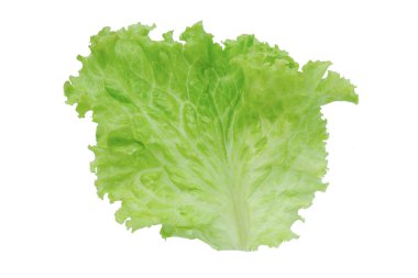 Marul. Beyaz arkaplanda kırpma ile izole edilmiş salata yaprağı
