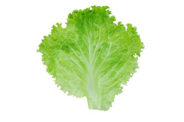 Marul. Beyaz arkaplanda kırpma ile izole edilmiş salata yaprağı