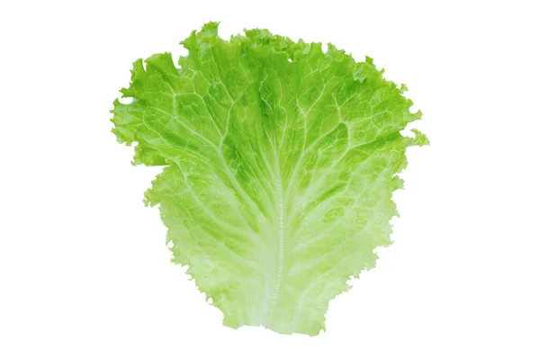 Lettuce Salad Leaf Isolated White Background Clipping Pat — Stock Photo, Image