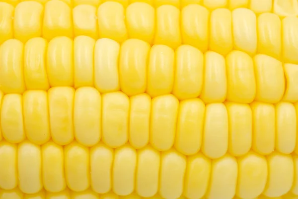 Close Raw Corn Kernels Rows — 图库照片