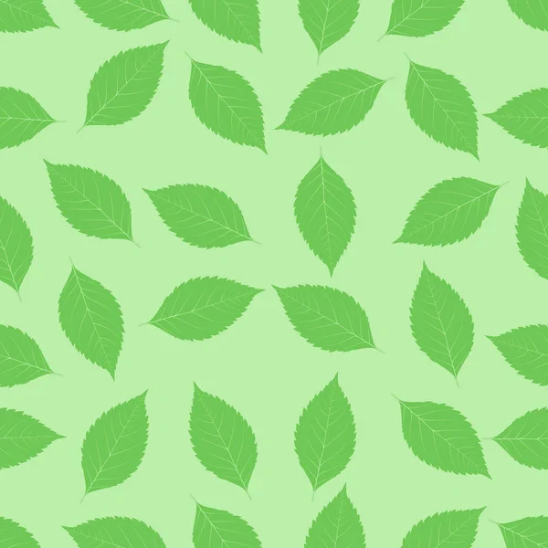 Seamless Green Birch Leave — Vetor de Stock