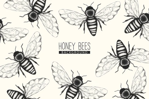 Beyaz arka planda izole edilmiş siyah ve beyaz bal arıları desenli vektör tek renkli arkaplan. Baskı, kumaş, kart, duvar kağıdı, ambalaj için böcek tasarımı