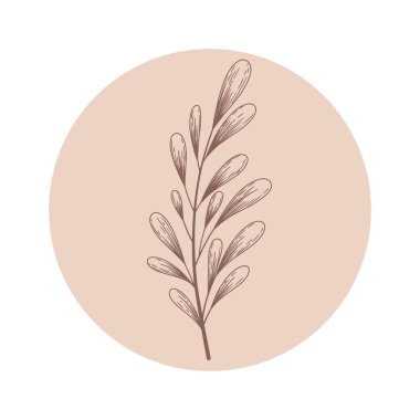 Beyaz arka planda el çizimi soyut dallı çiçek vektör yuvarlak ikonu. Sosyal medya hikayelerinin kozmetik ve güzellik markaları, logosu için tasarlandı.