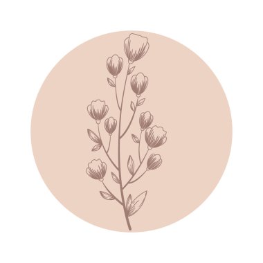 Soyut el çizimi dalına ve beyaz arka planda izole edilmiş çiçeklere sahip çiçek vektör yuvarlak simgesi. Güzellik ve kozmetik markalaşma için tasarım, sosyal medya hikayelerinin özet kapakları, logo