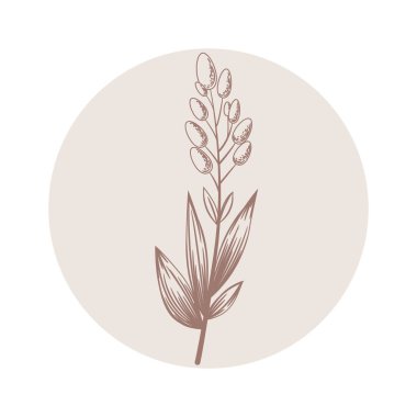 Beyaz arka planda el çizimi soyut dallı çiçek vektör yuvarlak ikonu. Güzellik ve kozmetik markalaşma, logo, sosyal medya hikayelerinin ön plana çıkarılması için tasarım