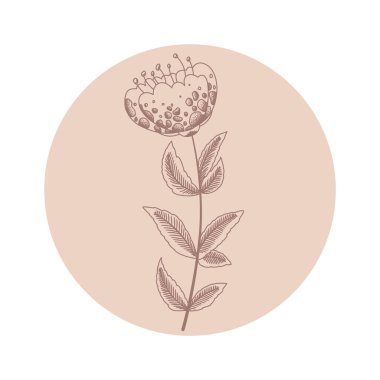 Beyaz arka planda el çizimi soyut çiçekli çiçek vektör yuvarlak ikonu. Güzellik ve kozmetik markalaşma, logo, sosyal medya hikayelerinin ön plana çıkarılması için tasarım