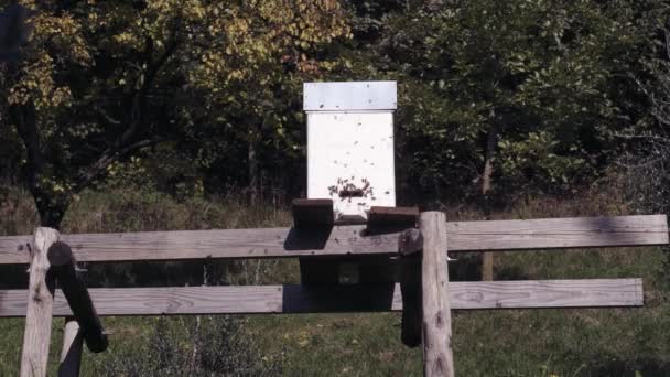 Long Shot: Ein weißer Bienenstock auf einem landwirtschaftlichen Feld. — Stockvideo