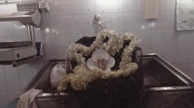 Napoli, İtalya. Aralık 2017: Napolili doğum sahnesi balık pazarında 