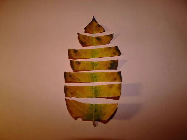 茶色の緑のみじん切りの葉は ベージュの背景に元の形にマージ — ストック写真